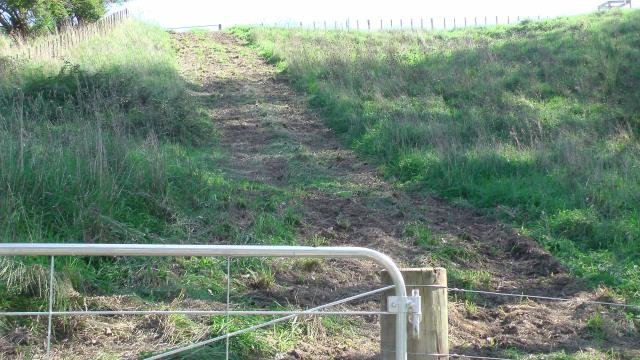 Tractor trail. Cambridge Tree Trust